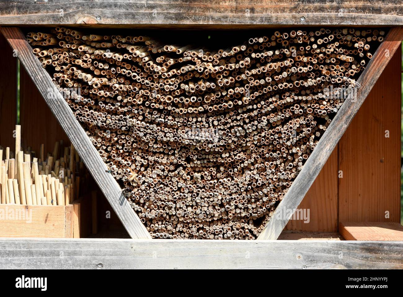 Les hôtels d'insectes servent d'abri et de terrain de reproduction aux insectes, en particulier aux abeilles sauvages. Banque D'Images