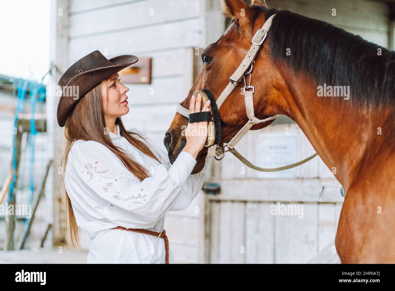 Doux cheval femme chapeau. Nettoyage de la manne de mouillage, du harnais. Équitation Banque D'Images