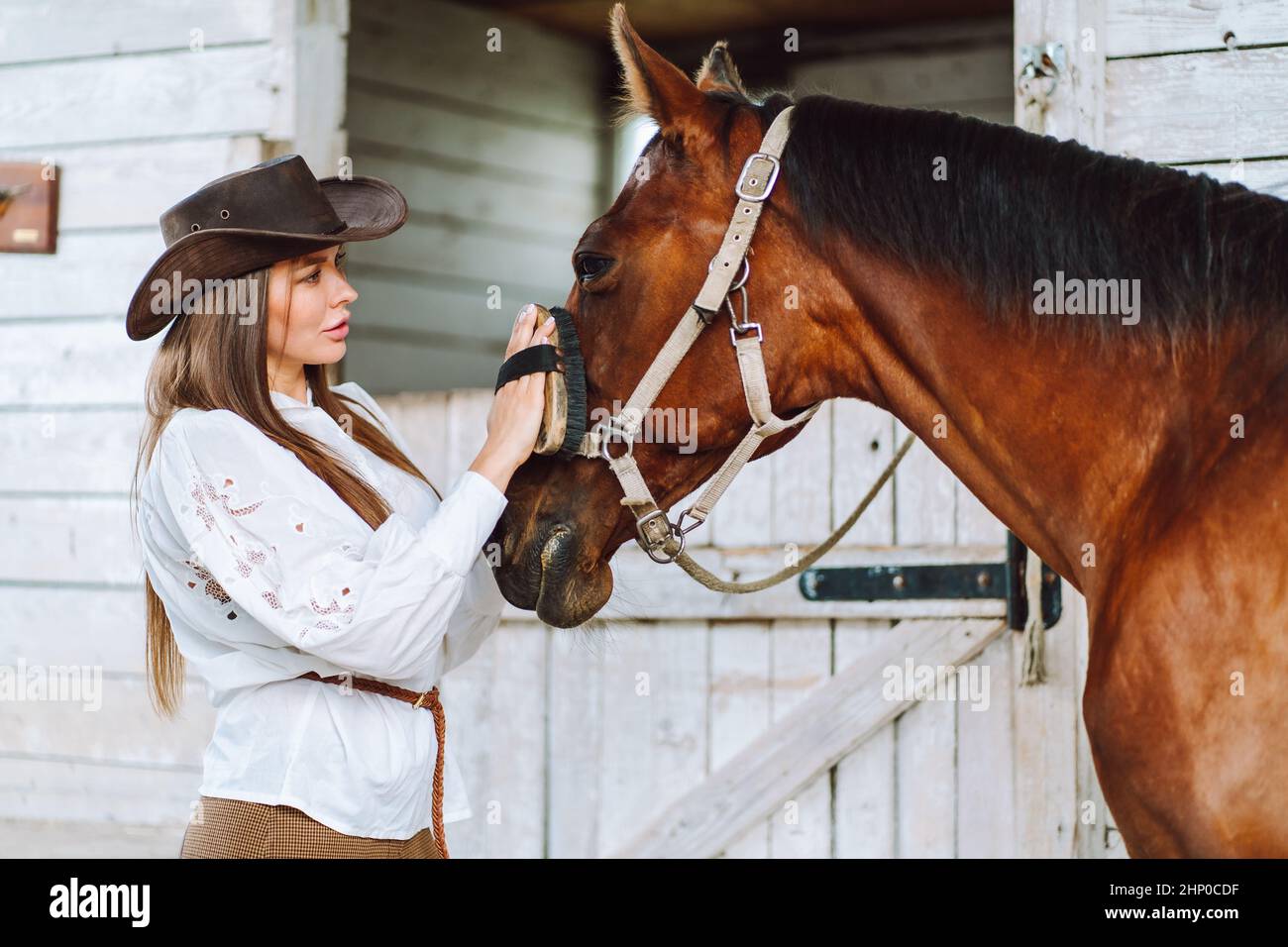 Femme attentionnée équestrienne en chapeau. Équitation. Entretien Soin Banque D'Images