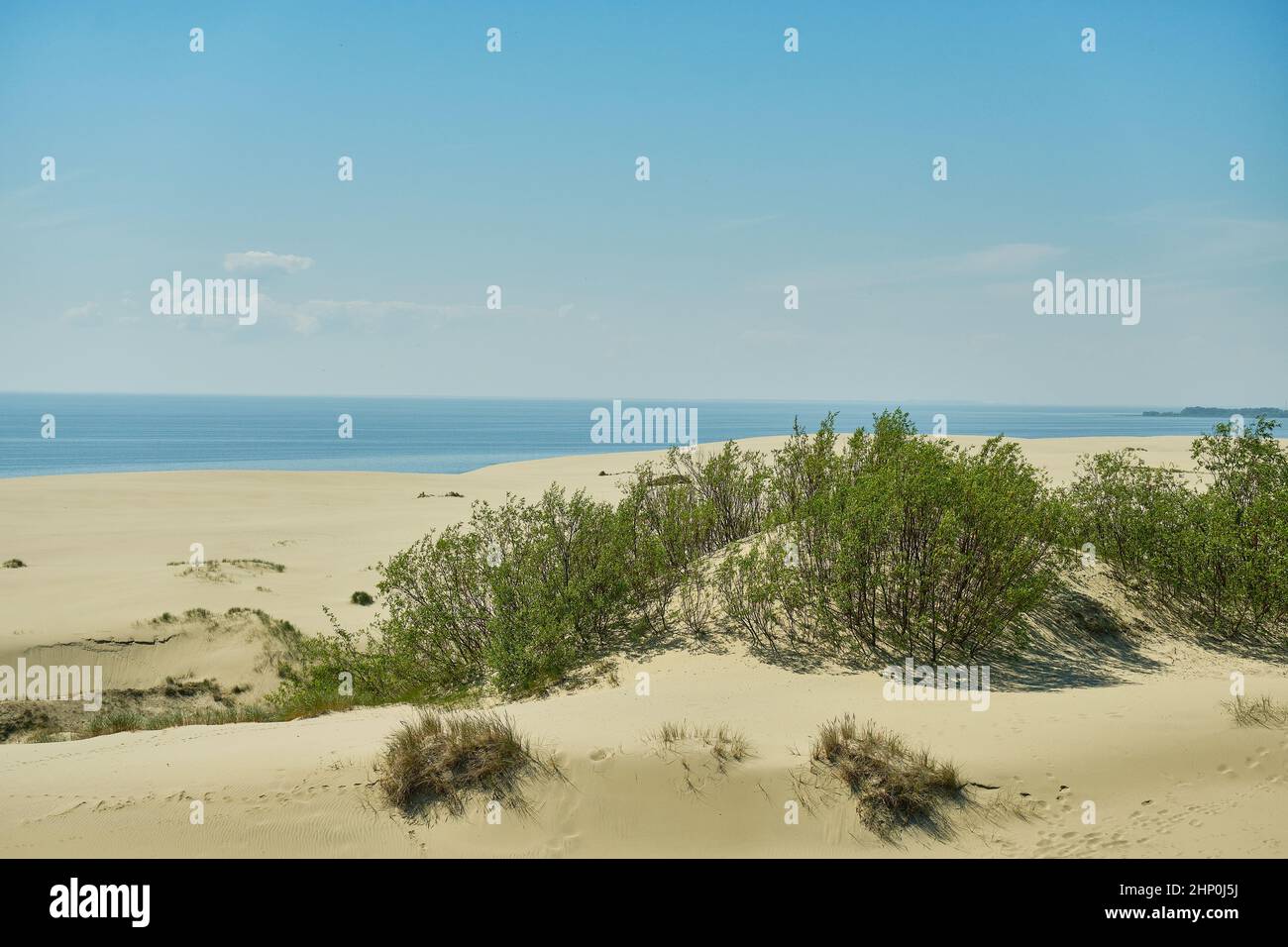 Dunes de sable de la partie russe de Courlande. Région de Kaliningrad, Russie Banque D'Images