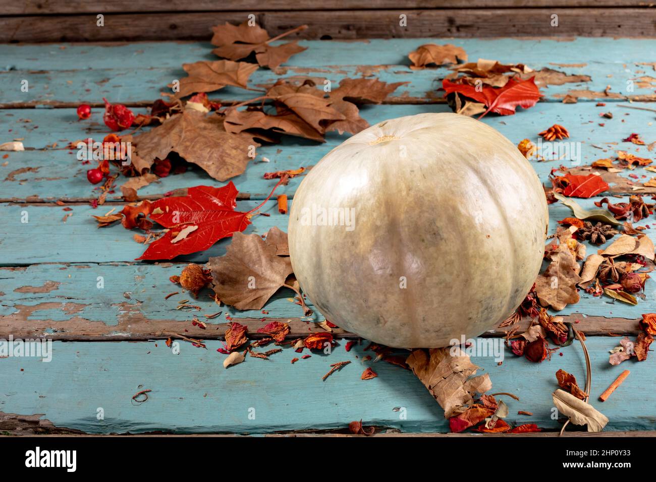 Composition de décoration d'halloween avec citrouille et feuilles sur fond de bois Banque D'Images