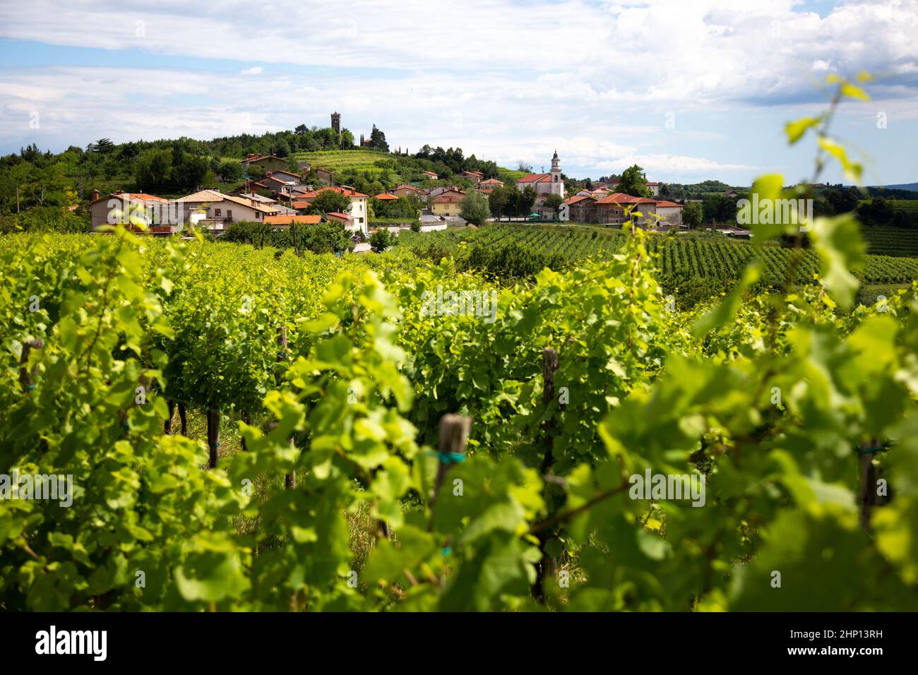 Village médiéval Smartno à Goriska Brda, région de la Slovénie. Banque D'Images