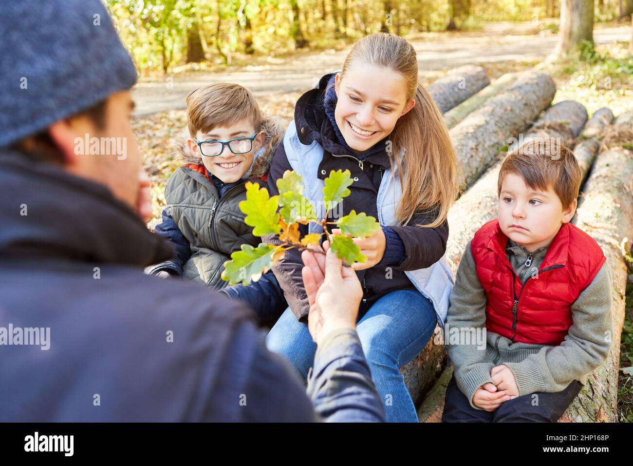 Forester et groupe d'enfants pendant des leçons d'arboriculture comme pédagogie forestière avec feuilles de chêne Banque D'Images