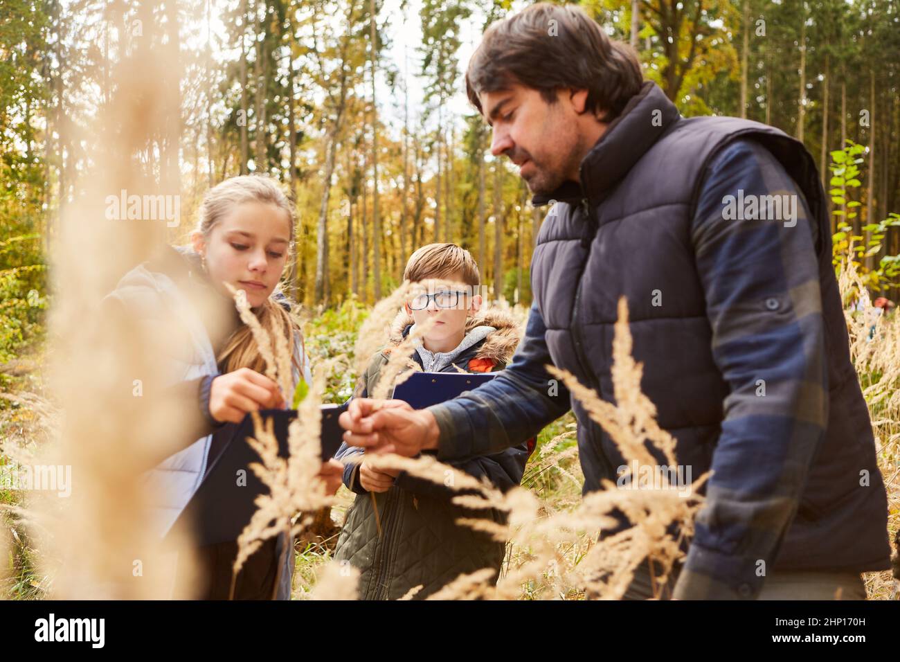 Förster montre les herbes des enfants en cours de botanique dans la forêt ou lors d'une visite de la forêt Banque D'Images