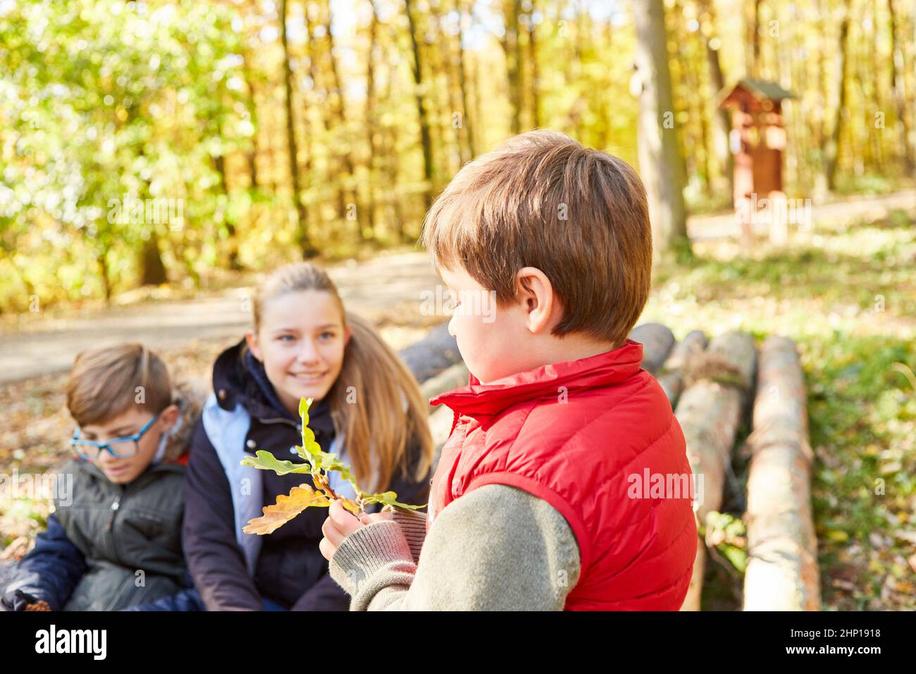 Enfants de la forêt centre de jour avec une feuille de chêne dans les leçons de sciences de l'arbre comme pédagogie de la forêt dans la forêt Banque D'Images