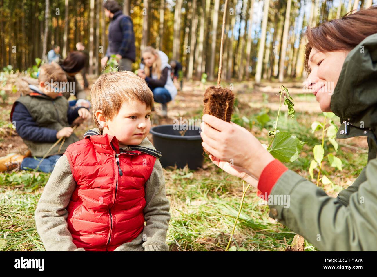 Enfant et enseignant avec la plantule identifiant les arbres comme une leçon pédagogique forestière dans la forêt Banque D'Images