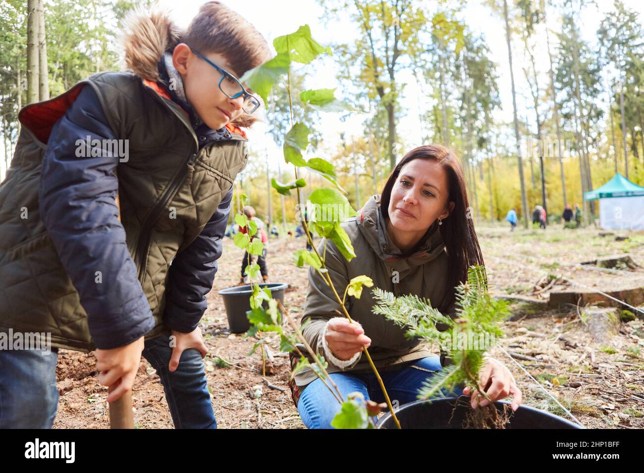 Mère et fils avec des plantules d'arbres identifiant les arbres pendant une campagne de reboisement Banque D'Images
