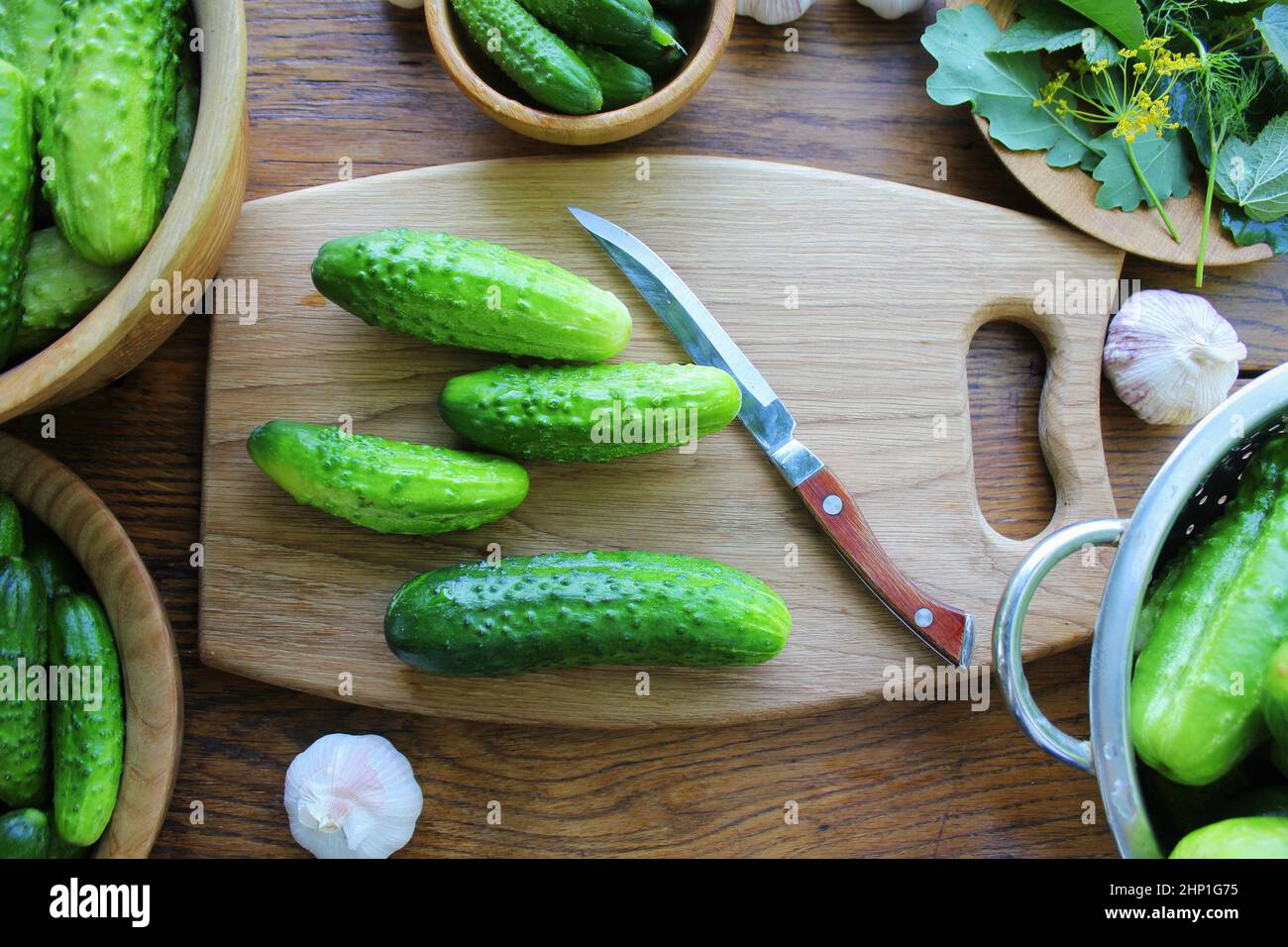 Concombres marinés fermentés, aneth, ail sur table en bois. Banque D'Images