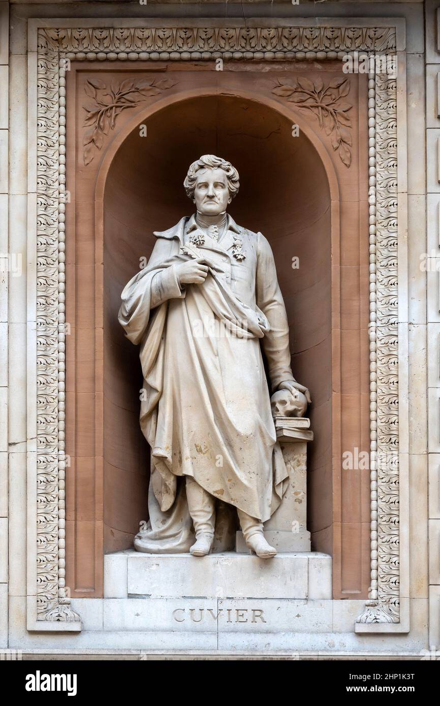 cuvier statue Banque de photographies et d’images à haute