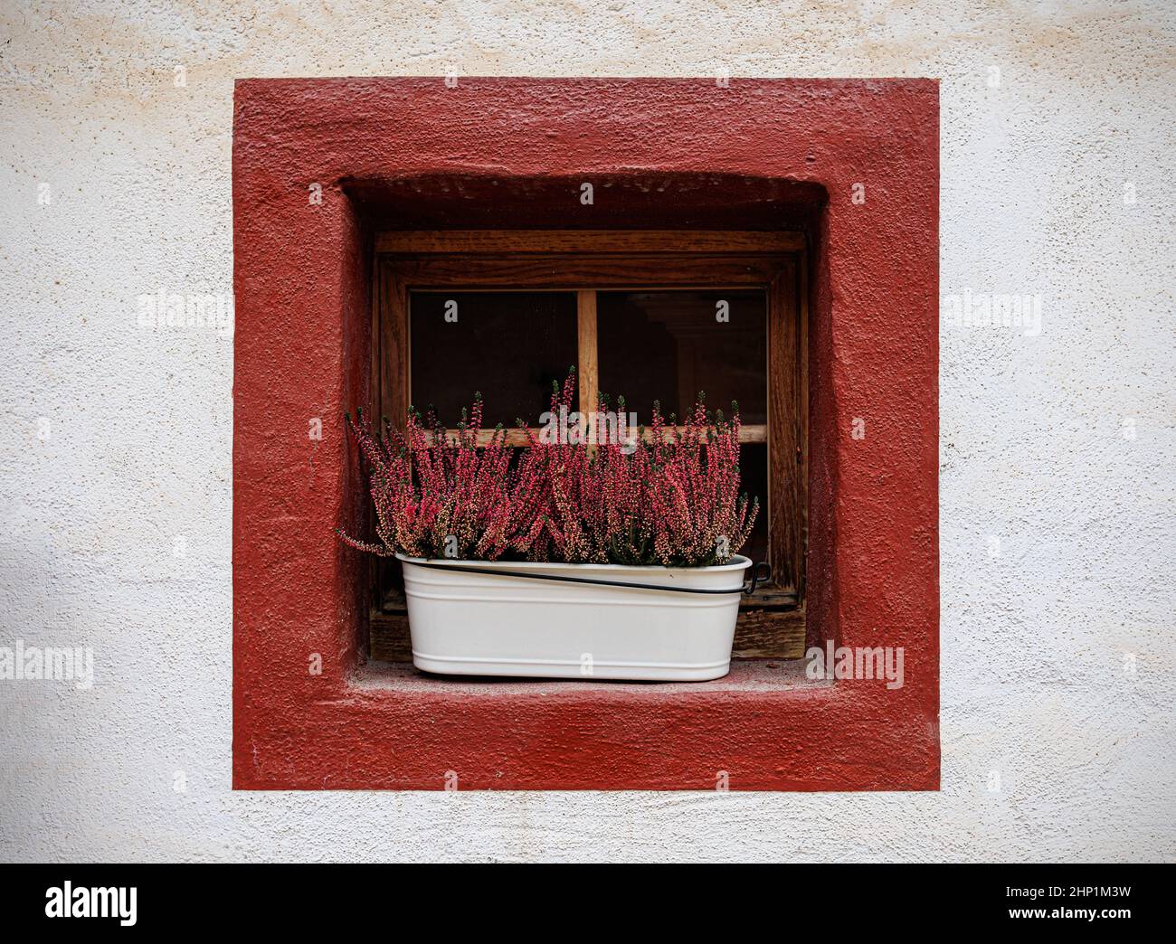 Blumentopf mit Heidekraut im Fenster Banque D'Images