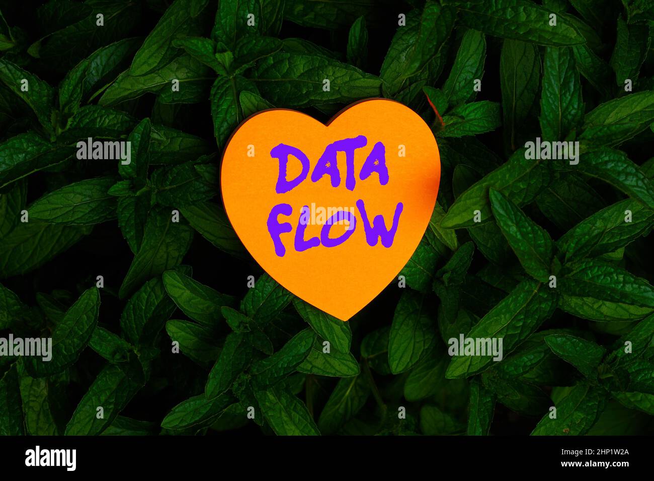 Panneau affichant le flux de données, concept Internet le mouvement des données à travers un système composé de logiciel en forme de coeur papier sur le dessus de la nature extérieure le Banque D'Images
