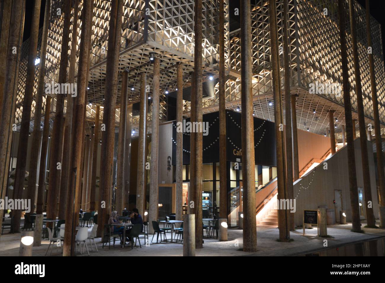 Le Pavillon de Suède « la forêt » de nuit à l'Expo 2020 Dubai Émirats Arabes Unis - 31 janvier 2022. Banque D'Images