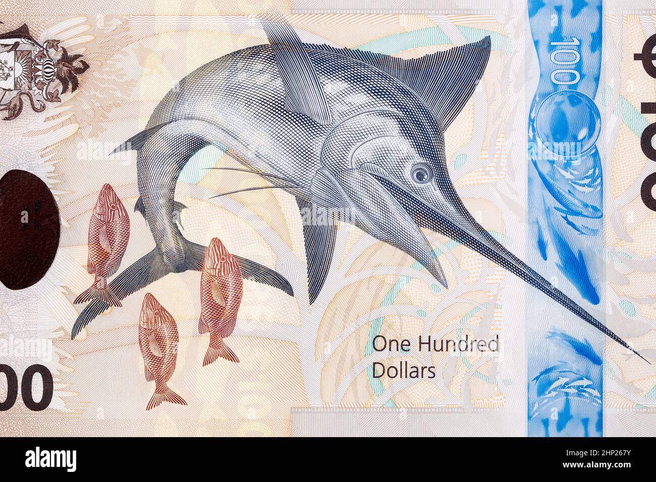 Makaire bleu de l'argent bahamien - dollars Banque D'Images