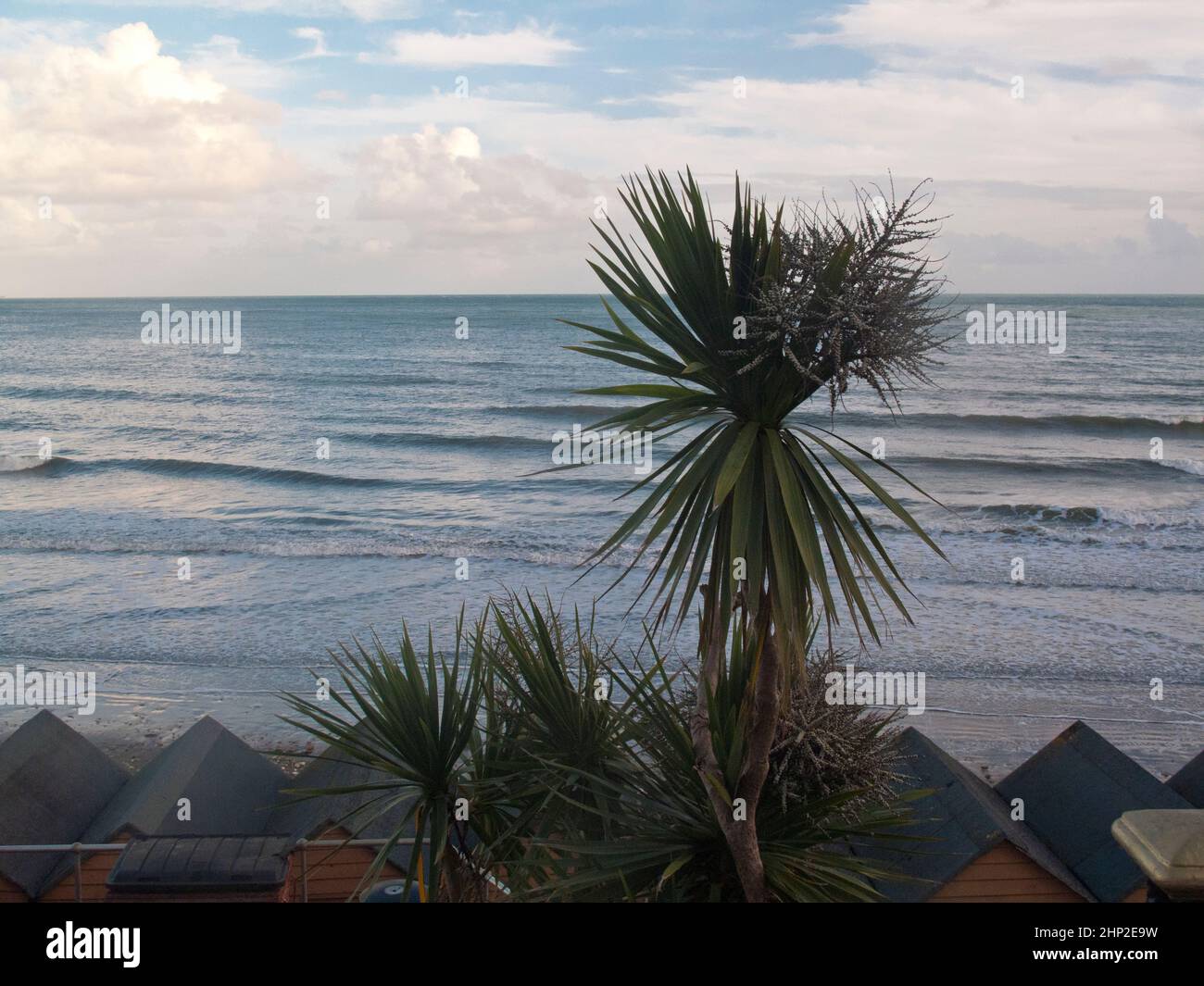 Vue sur la mer avec ciel bleu, ciel nuageux, palmiers et cabines de plage Banque D'Images