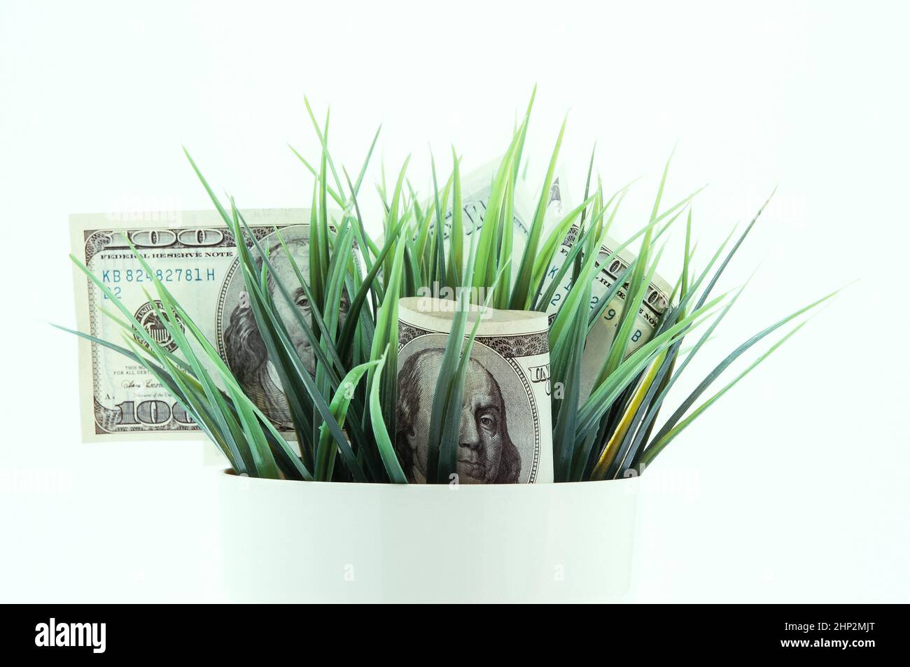 Encaisser une centaine de billets américains dans l'herbe isolée sur un fond blanc. Banque D'Images
