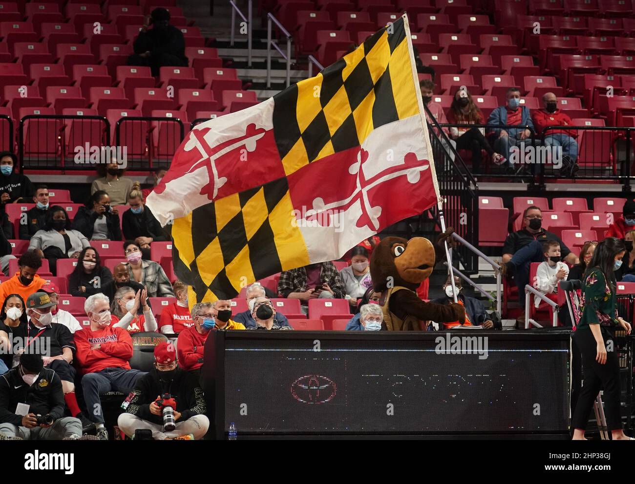 COLLEGE PARK, MD - FÉVRIER 17: La mascotte du Maryland Testudo porte le drapeau de l'État du Maryland autour du terrain pendant un match de basket-ball de Big10 femmes betwee Banque D'Images