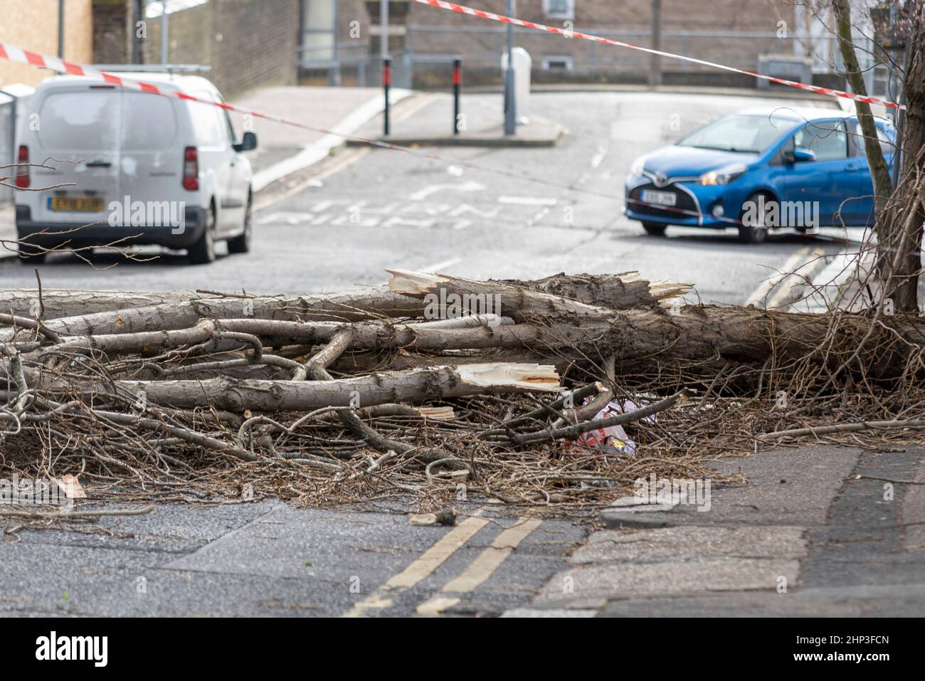 Southend on Sea, Essex, Royaume-Uni. 18th févr. 2022. Storm Eunice a frappé la ville de l'estuaire de la Tamise et a causé des dégâts. Un grand arbre est descendu sur la route de Valkyrie à Westcliff sur la mer, bloquant la circulation Banque D'Images