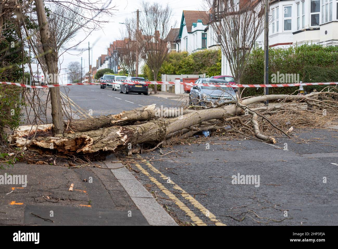 Southend on Sea, Essex, Royaume-Uni. 18th févr. 2022. Storm Eunice a frappé la ville de l'estuaire de la Tamise et a causé des dégâts. Un grand arbre est descendu sur la route de Valkyrie à Westcliff sur la mer, bloquant la circulation Banque D'Images