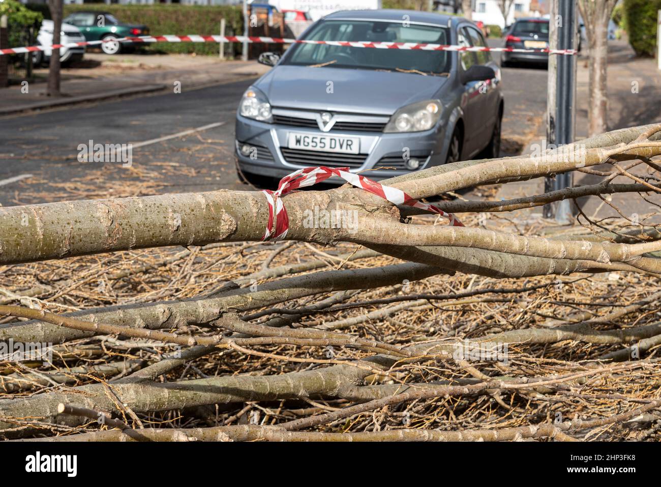 Southend on Sea, Essex, Royaume-Uni. 18th févr. 2022. Storm Eunice a frappé la ville de l'estuaire de la Tamise et a causé des dégâts. Un grand arbre est descendu sur la route de Valkyrie à Westcliff sur la mer, bloquant la circulation Banque D'Images