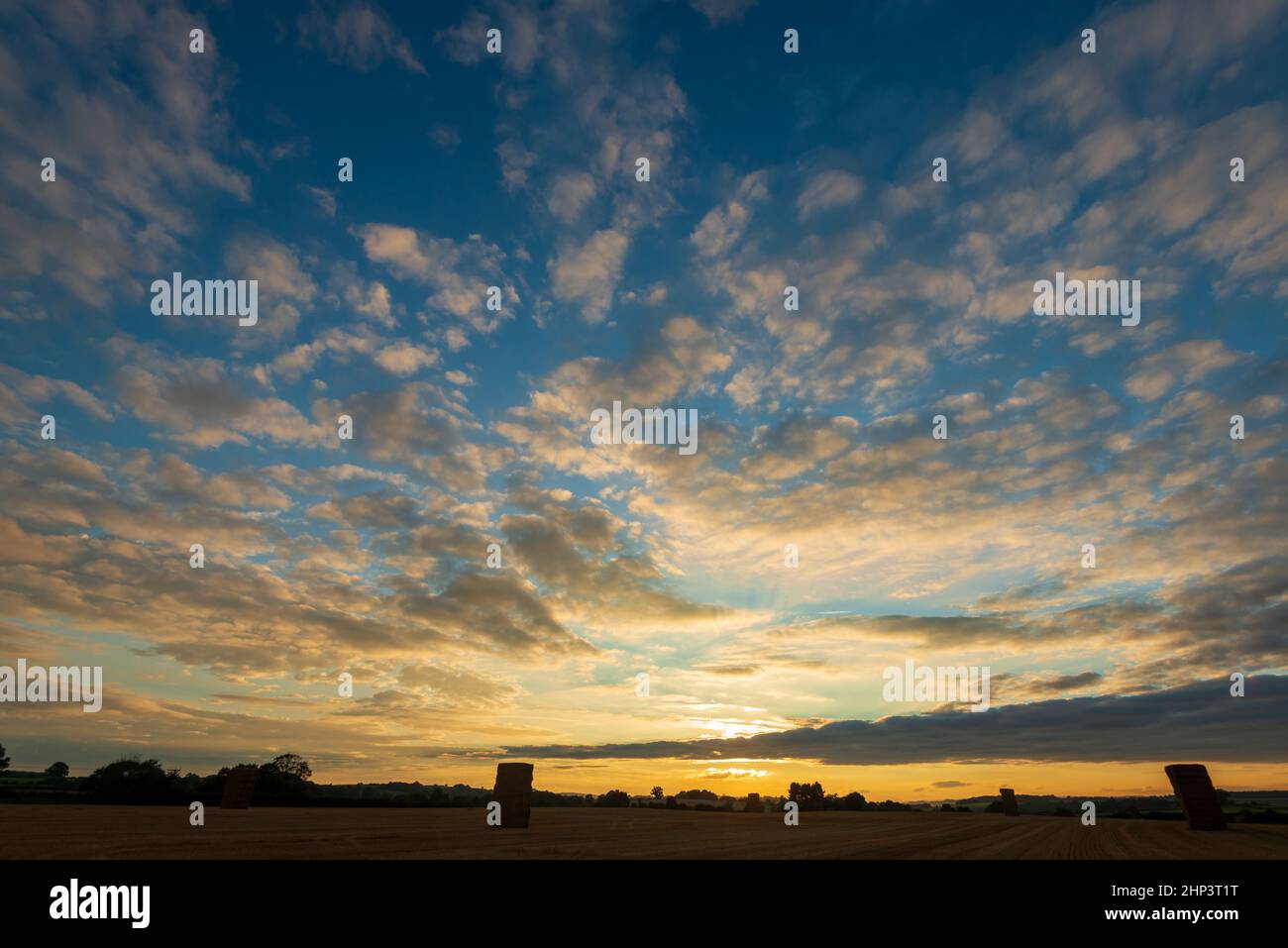 Les nuages d'Altocumulus donnent un beau coucher de soleil sur un champ de céréales récoltées dans le West Yorkshire Banque D'Images