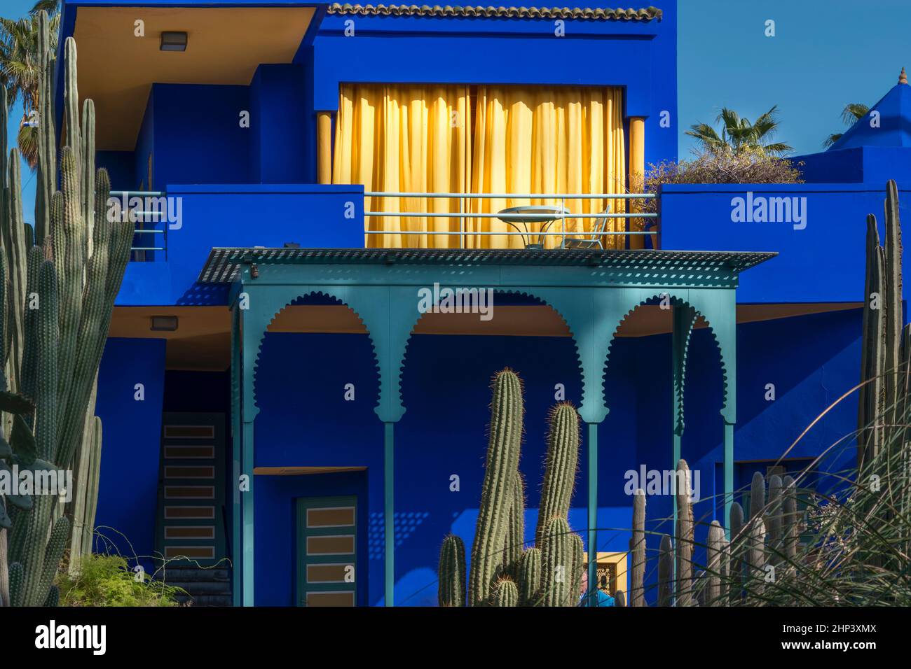 MAROC MARRAKECH LA MAISON MAJORELLE GARDEN حديقة ماجوريل AVEC DES MURS BLEU COBALT RIDEAUX JAUNE VIF ET DE GRANDS CACTUS Banque D'Images