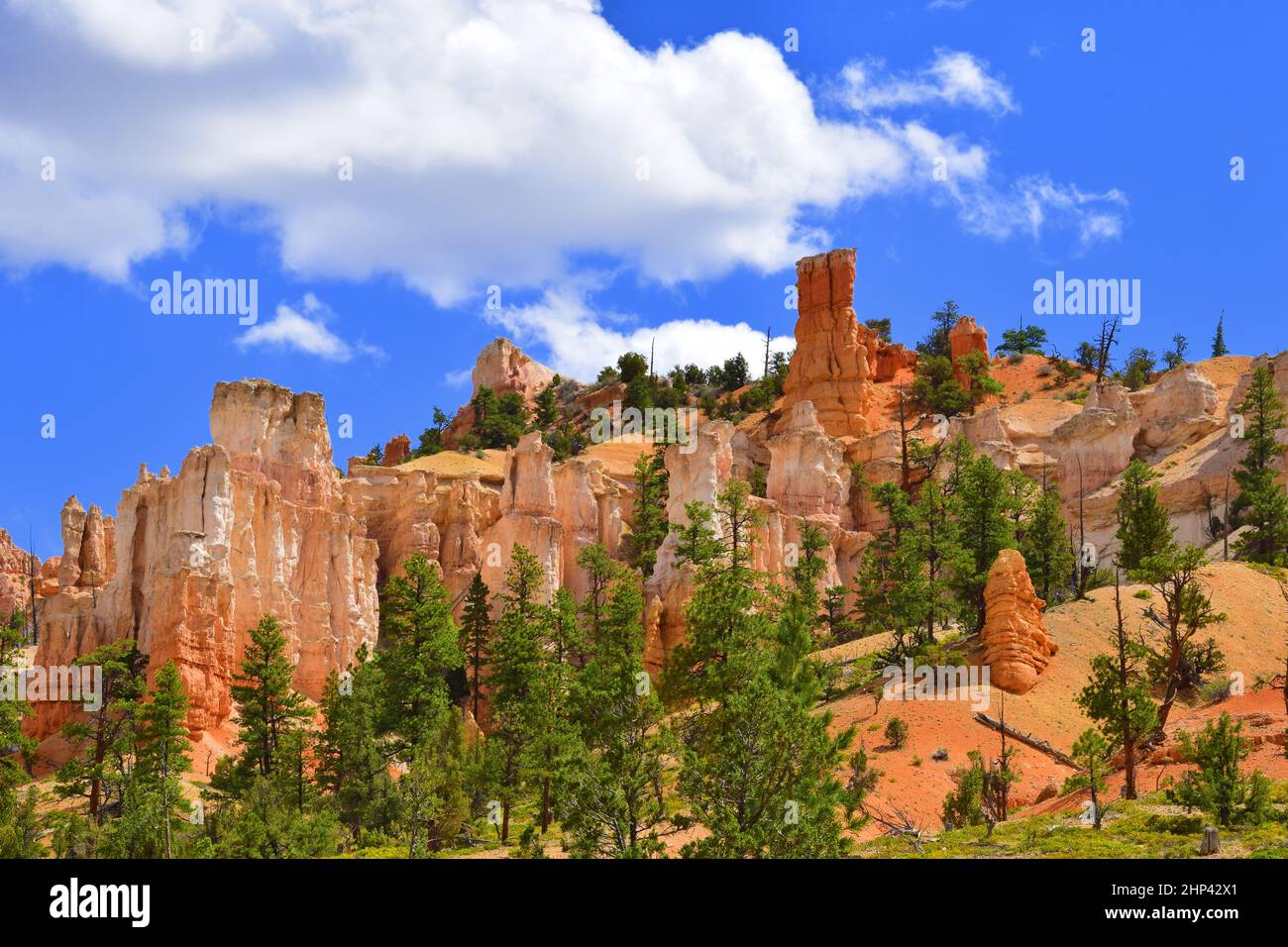 Red Canyon dans le sud-ouest de l'Utah Banque D'Images