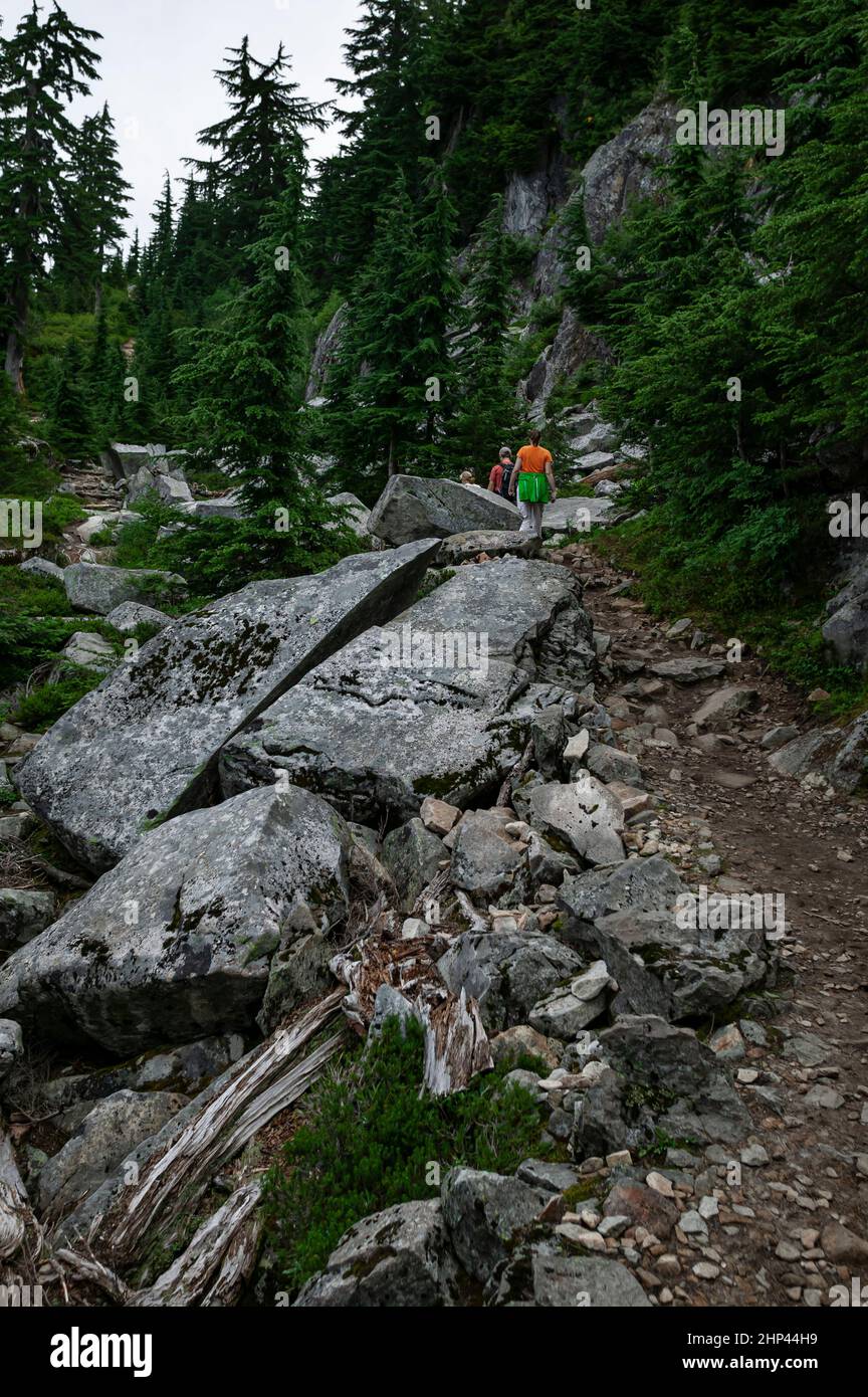 Le sentier sur Mt. Pilchuck, État de Washington, a été blasé en utilisant le travail de la NRA (Administration nationale de redressement) pendant la présidence du FDR, 1933 Banque D'Images