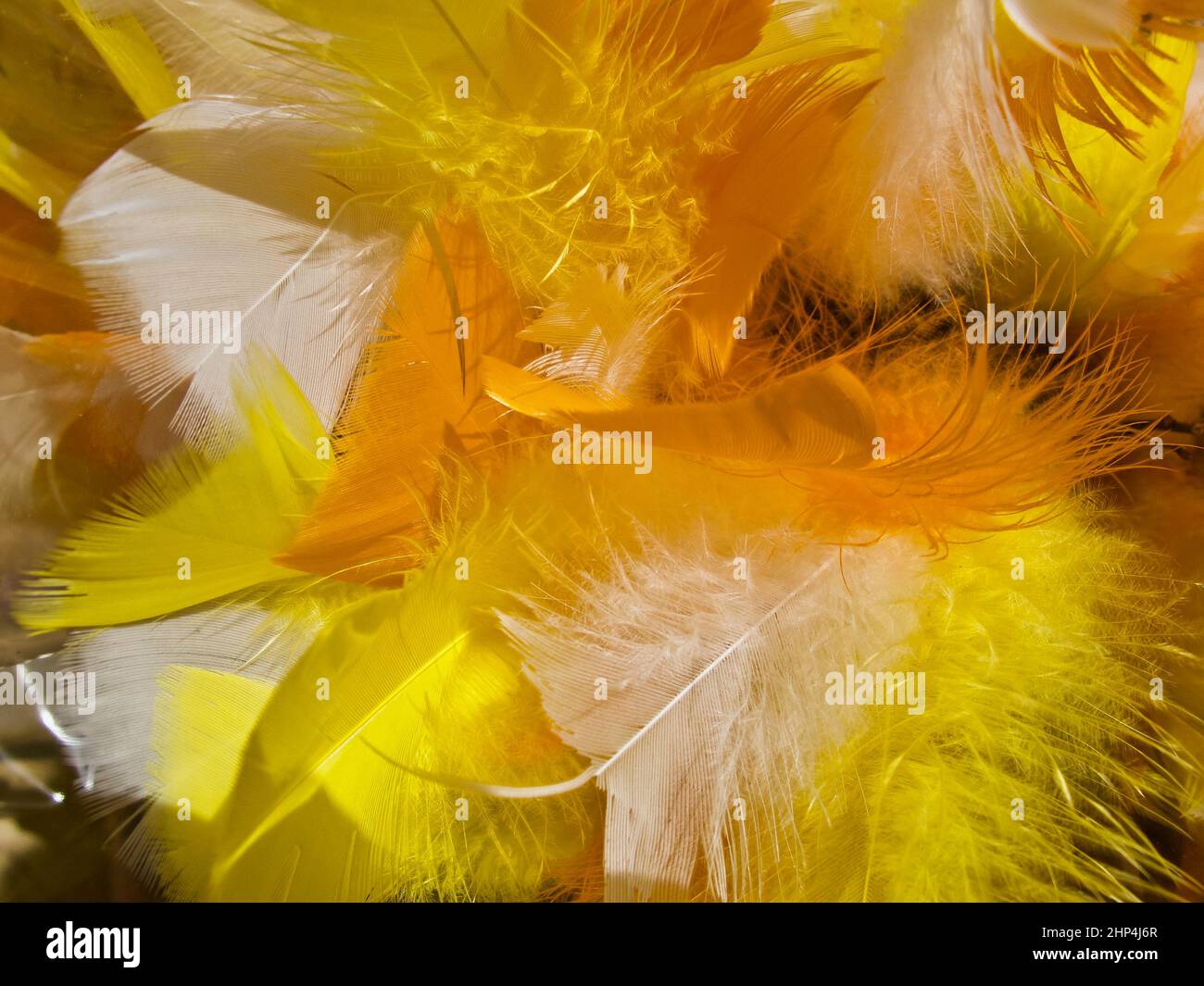 Gros plan de plumes orange et jaune moelleuses pour la décoration pendant le Carême et Pâques. Banque D'Images