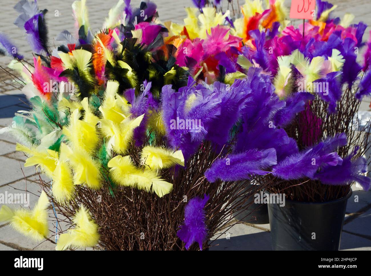Brindilles de bouleau avec des plumes dans de nombreuses couleurs différentes comme décoration pendant le Carême et Pâques. Banque D'Images