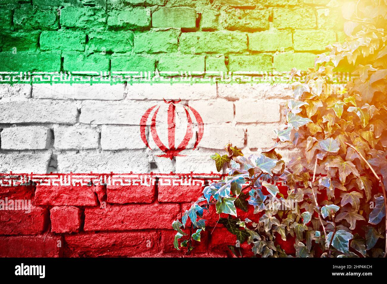 L'Iran grunge drapeau sur le mur de brique avec la vue de voile de la plante du soleil, symbole de pays concept de l'Iran Banque D'Images