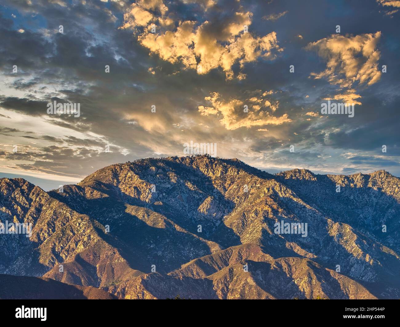 San Antonio Heights section de la Angeles National Forest, Californie, en fin d'après-midi lumière du soleil. Banque D'Images