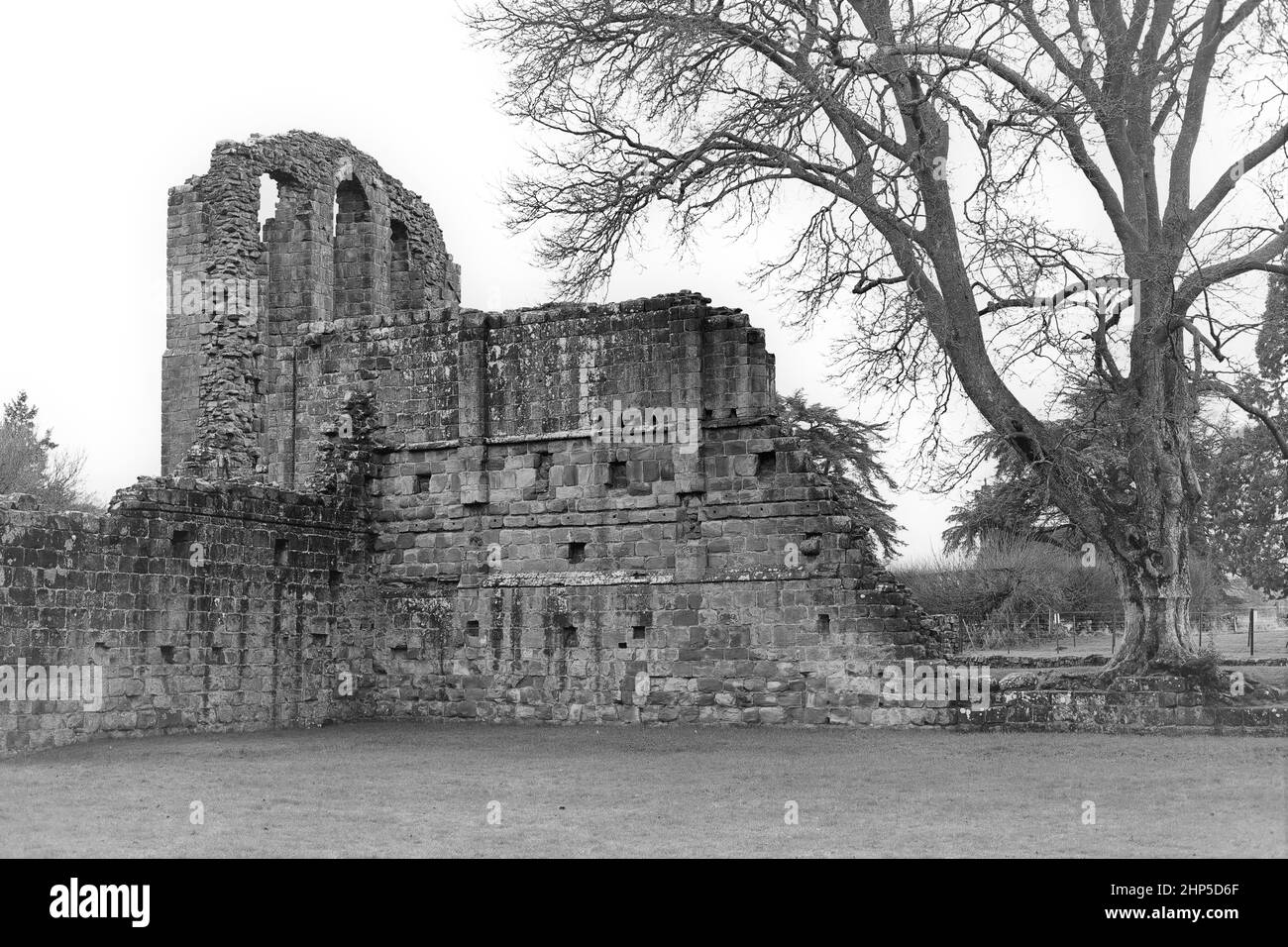 Ancien monastère cistercien de Croxden datant du 12th siècle, dans le Staffordshire, en Angleterre Banque D'Images