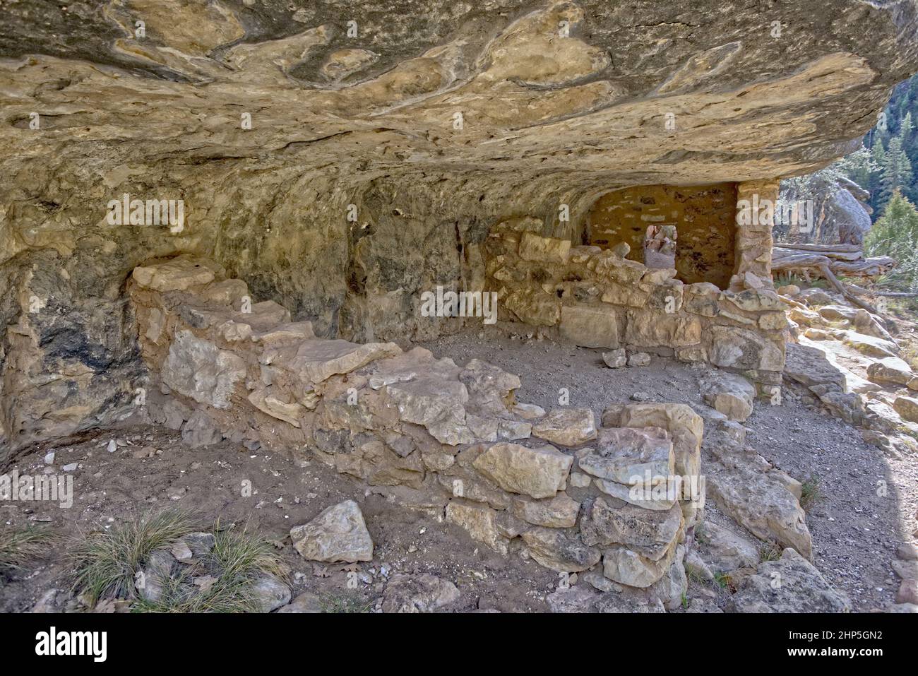 Ruines des Indiens de Sinagua dans le monument national de Walnut Canyon Arizona. Les ruines sont gérées par le National Park Service. Aucune autorisation de propriété n'est ne Banque D'Images