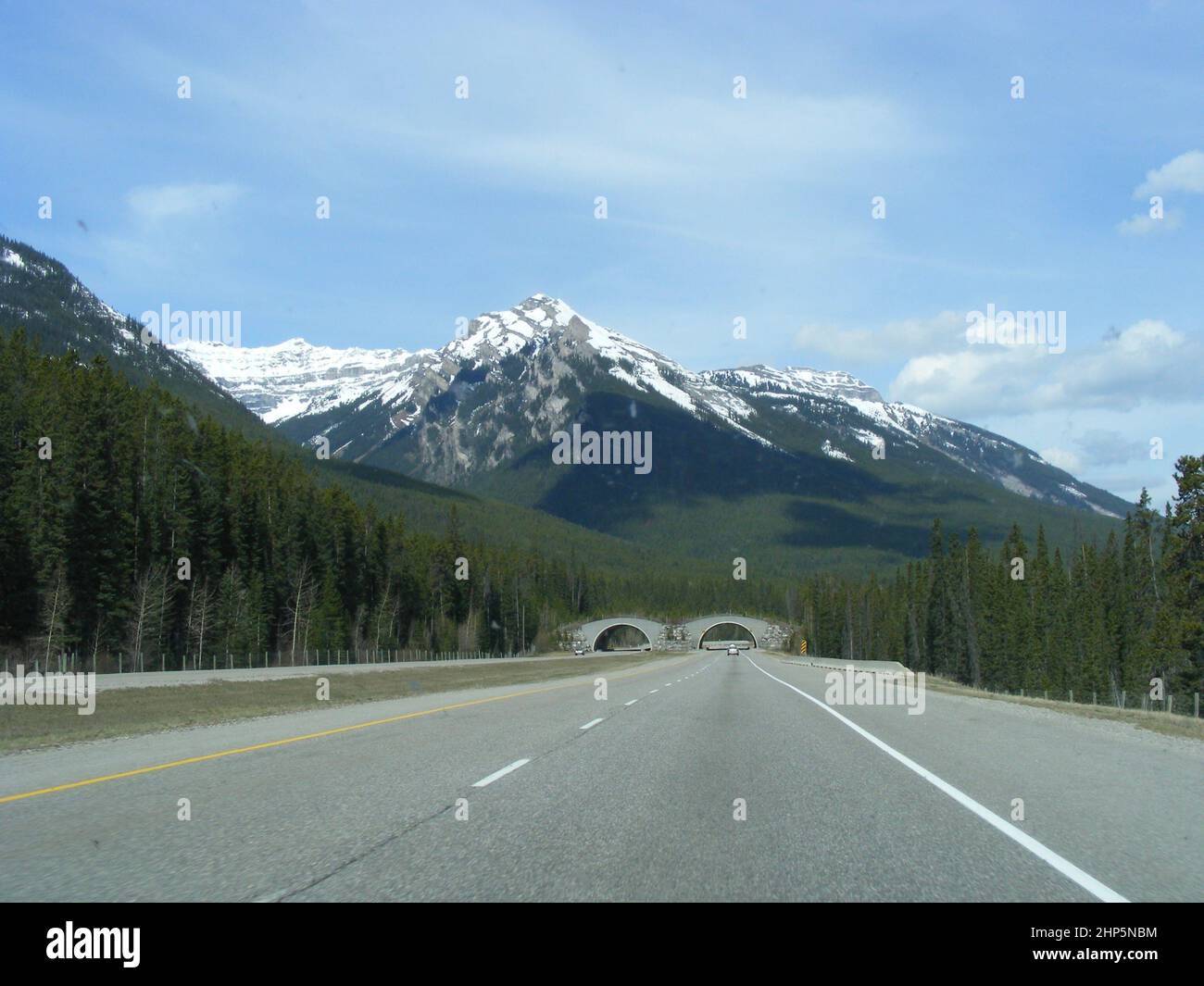 Traversée de la faune à double arc au-dessus de l'autoroute principale dans le parc national Banff avec des montagnes à l'horizon Banque D'Images