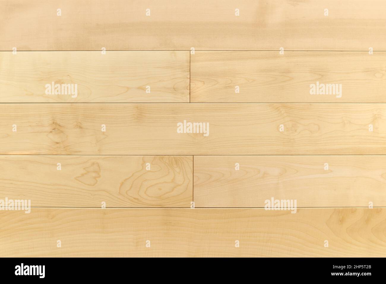 Texture naturelle en bois. Nouveau parquet vierge. Image d'arrière-plan des panneaux de plancher stratifiés en bois. Décoration d'intérieur Banque D'Images