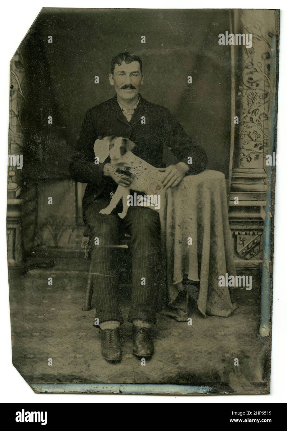 Photographie antique vers 1860, un homme avec un petit chien sur ses genoux. Lieu inconnu, États-Unis. SOURCE : TINTYPE ORIGINAL Banque D'Images