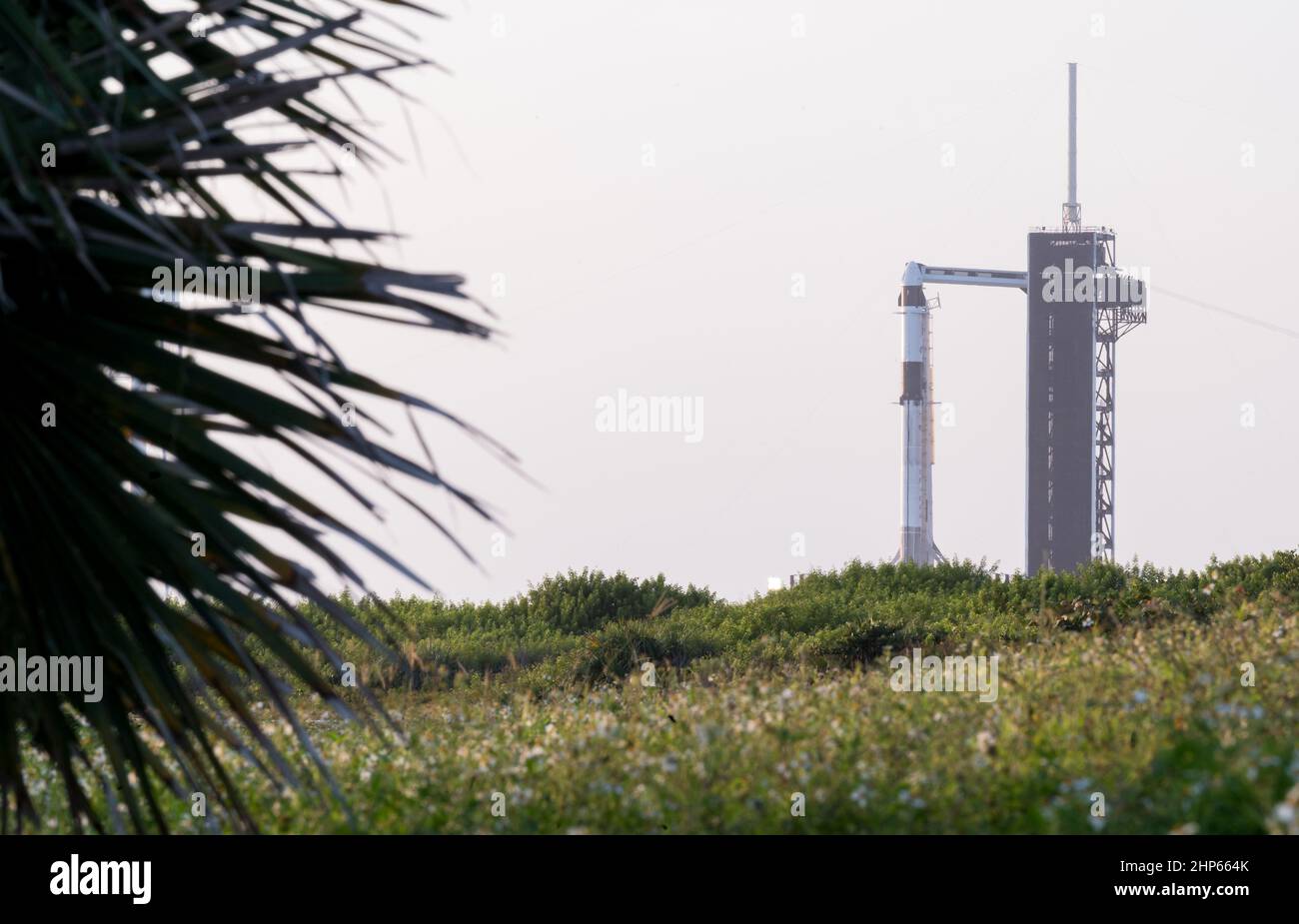 Une fusée SpaceX Falcon 9 à bord du vaisseau spatial Crew Dragon de la société est visible sur le plateau de lancement du Launch Complex 39A alors que les préparatifs se poursuivent pour la mission Crew-3, le vendredi 29 octobre 2021, au Kennedy Space Center de la NASA, en Floride Banque D'Images