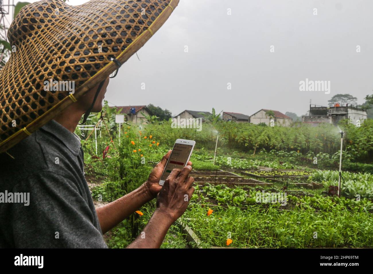 BOGOR, INDONÉSIE - 18 février 2022 : la ferme utilise le réseau Internet comme télécommande pour arroser les plantes à Bogor, Indonésie, 18 février 2022 Banque D'Images