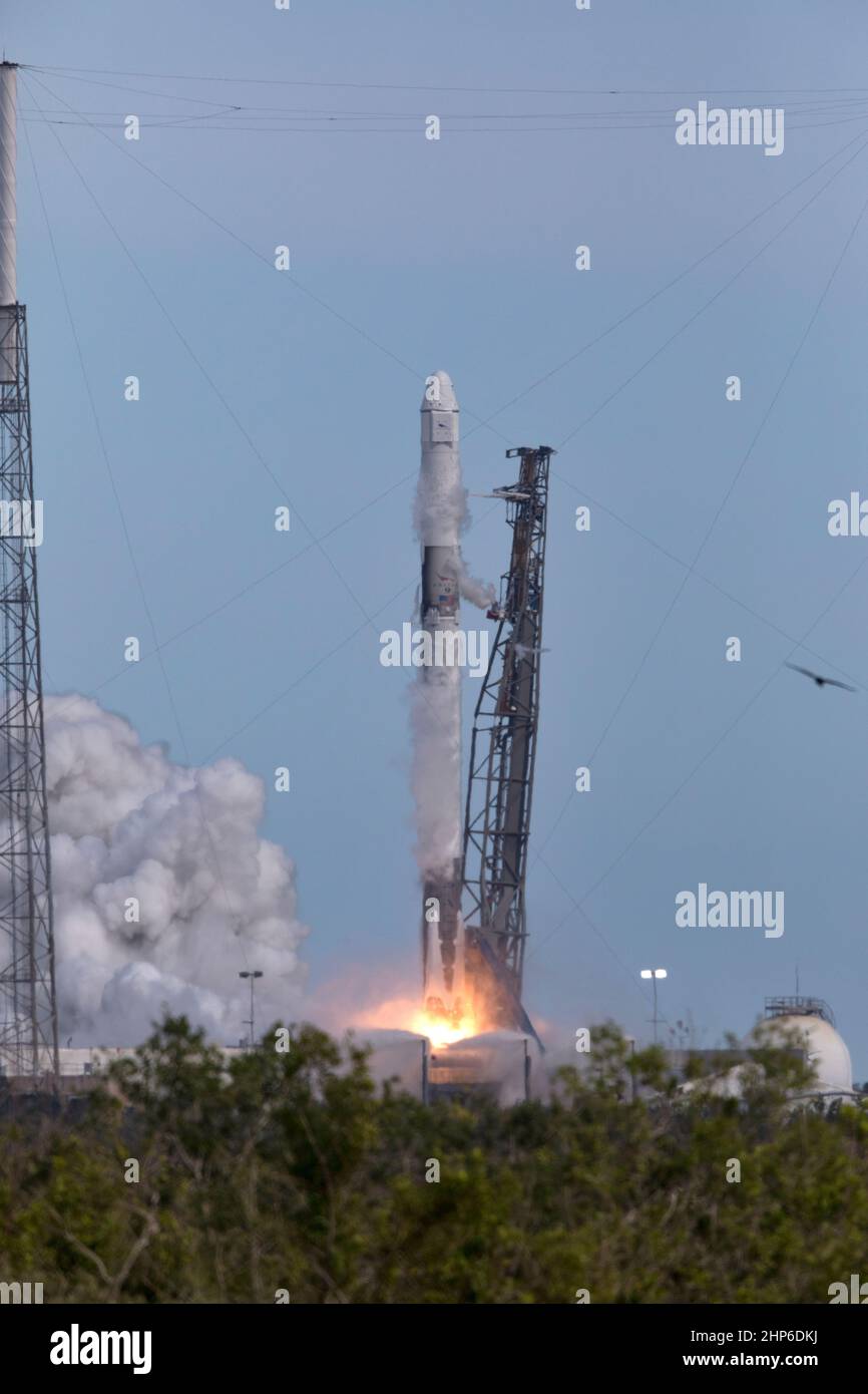 Une fusée SpaceX Falcon 9 se soulève du complexe Space Launch Complex 40 à la station aérienne de Cape Canaveral en Floride à 4 h 30 HNE, transportant le vaisseau spatial de ravitaillement SpaceX Dragon. Dans le cadre de sa mission de services de réapprovisionnement commercial de 14th, Dragon livrera des fournitures, du matériel et de nouvelles expériences scientifiques pour la recherche technologique à la station spatiale. Banque D'Images