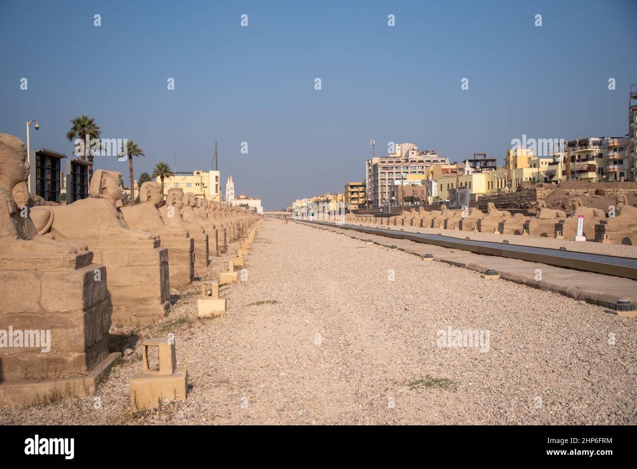 Avenue de Sphinxes à côté du temple de Louxor (Louxor, Egypte). Gros plan et ciel bleu Banque D'Images