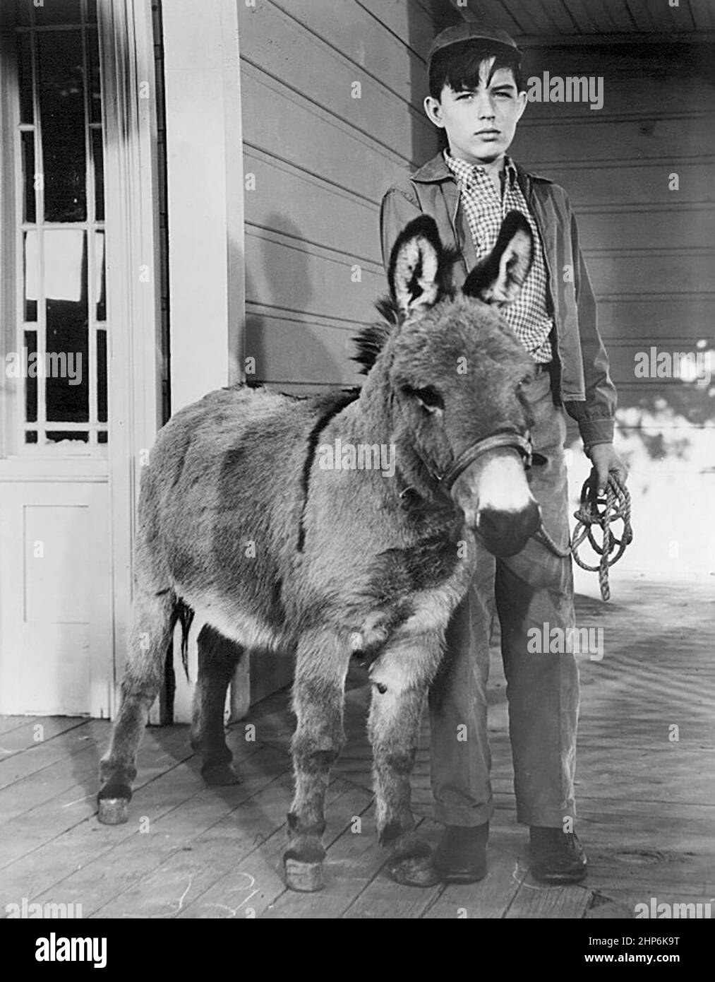 Acteur Jerry Mathers dans un film encore de la situation comédie laisser à Beaver (1957-1963) Banque D'Images