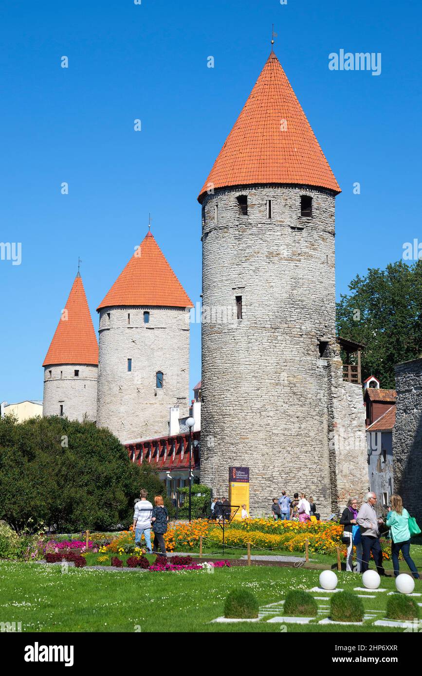 TALLINN, ESTONIE - 01 AOÛT 2015 : journée d'été ensoleillée dans les tours médiévales de la vieille ville de Tallinn Banque D'Images