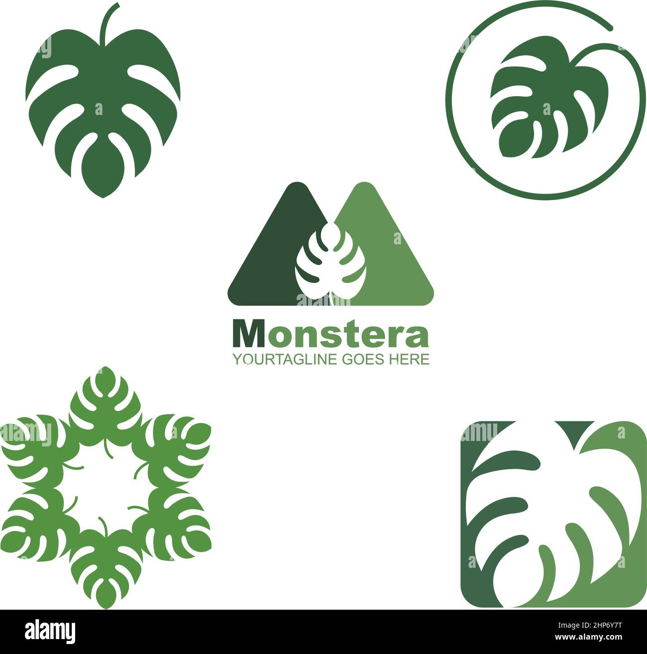 modèle de conception d'illustration vectorielle d'icône de feuille de monstera Illustration de Vecteur