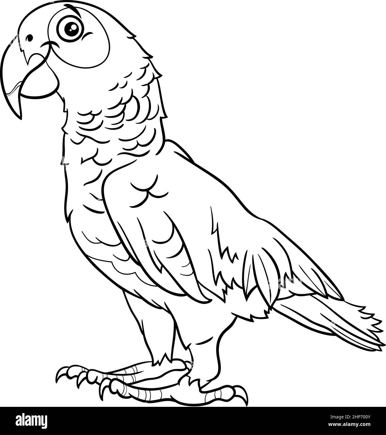 bande dessinée gris perroquet oiseau caractère animal coloriage livre page Illustration de Vecteur