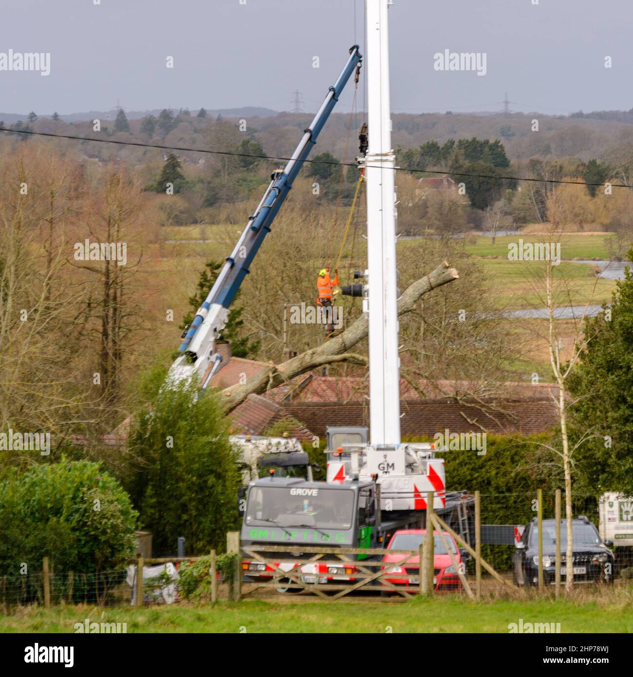 New Forest, Hampshire, Royaume-Uni, 19th février 2022, Météo : les ingénieurs travaillent pour récupérer un arbre tombé incrusté dans le toit d'une propriété près de Fordingbridge. Une opération de compensation est en cours en Angleterre et au pays de Galles à la suite de la tempête Eunice qui a causé des dégâts considérables avec 80mph vents hier. Crédit : Paul Biggins/Alamy Live News Banque D'Images