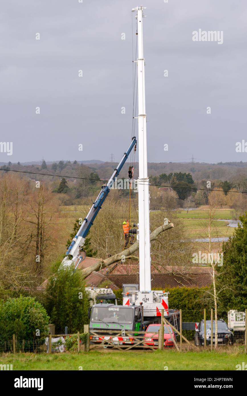 New Forest, Hampshire, Royaume-Uni, 19th février 2022, Météo : les ingénieurs travaillent pour récupérer un arbre tombé incrusté dans le toit d'une propriété près de Fordingbridge. Une opération de compensation est en cours en Angleterre et au pays de Galles à la suite de la tempête Eunice qui a causé des dégâts considérables avec 80mph vents hier. Crédit : Paul Biggins/Alamy Live News Banque D'Images