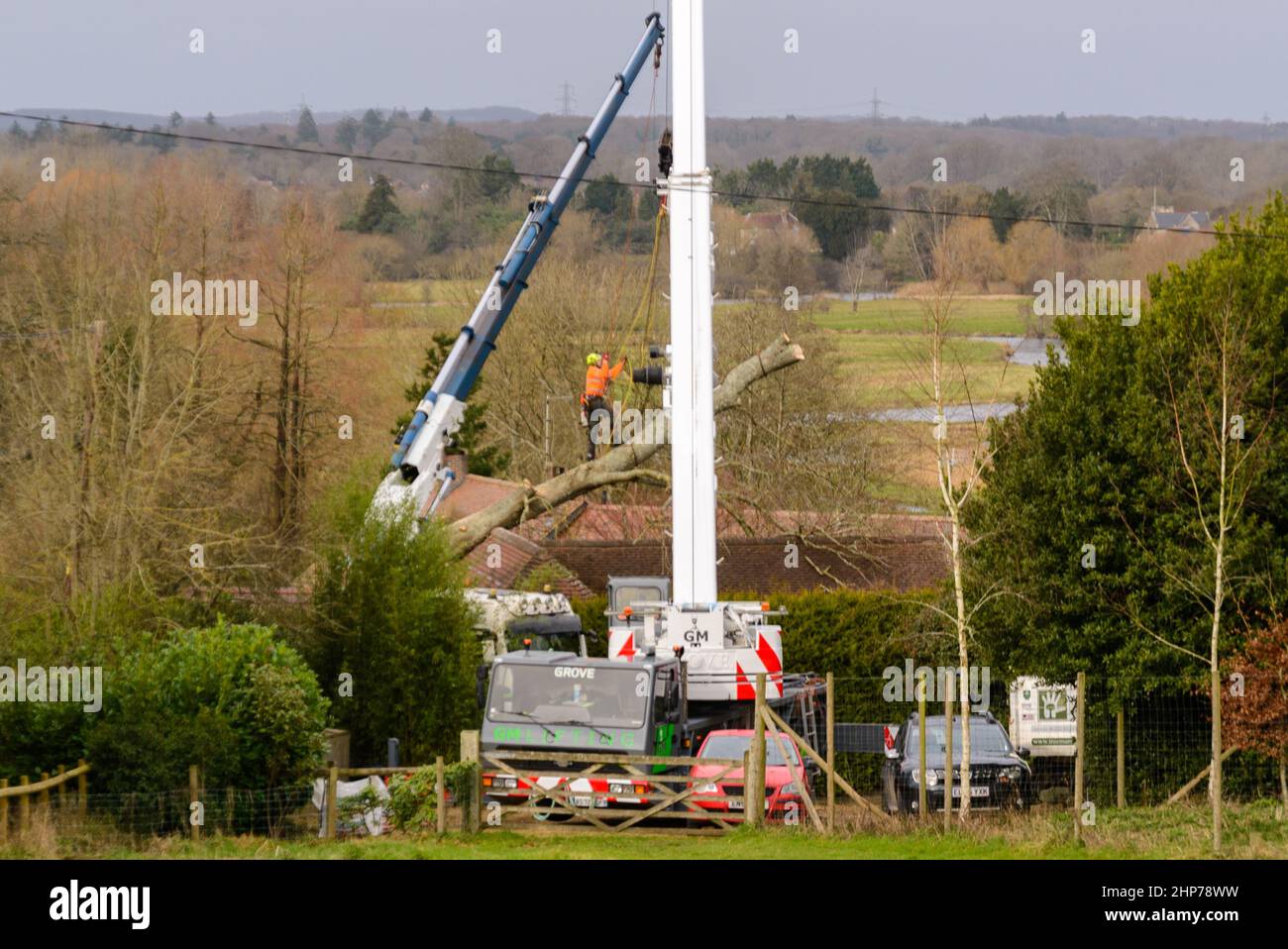 New Forest, Hampshire, Royaume-Uni, 19th février 2022, Météo : les ingénieurs travaillent pour récupérer un arbre tombé incrusté dans le toit d'une propriété près de Fordingbridge. Une opération de compensation est en cours en Angleterre et au pays de Galles à la suite de la tempête Eunice qui a causé des dégâts considérables avec 80mph vents hier. Crédit : Paul Biggins/Alamy Live News Banque D'Images