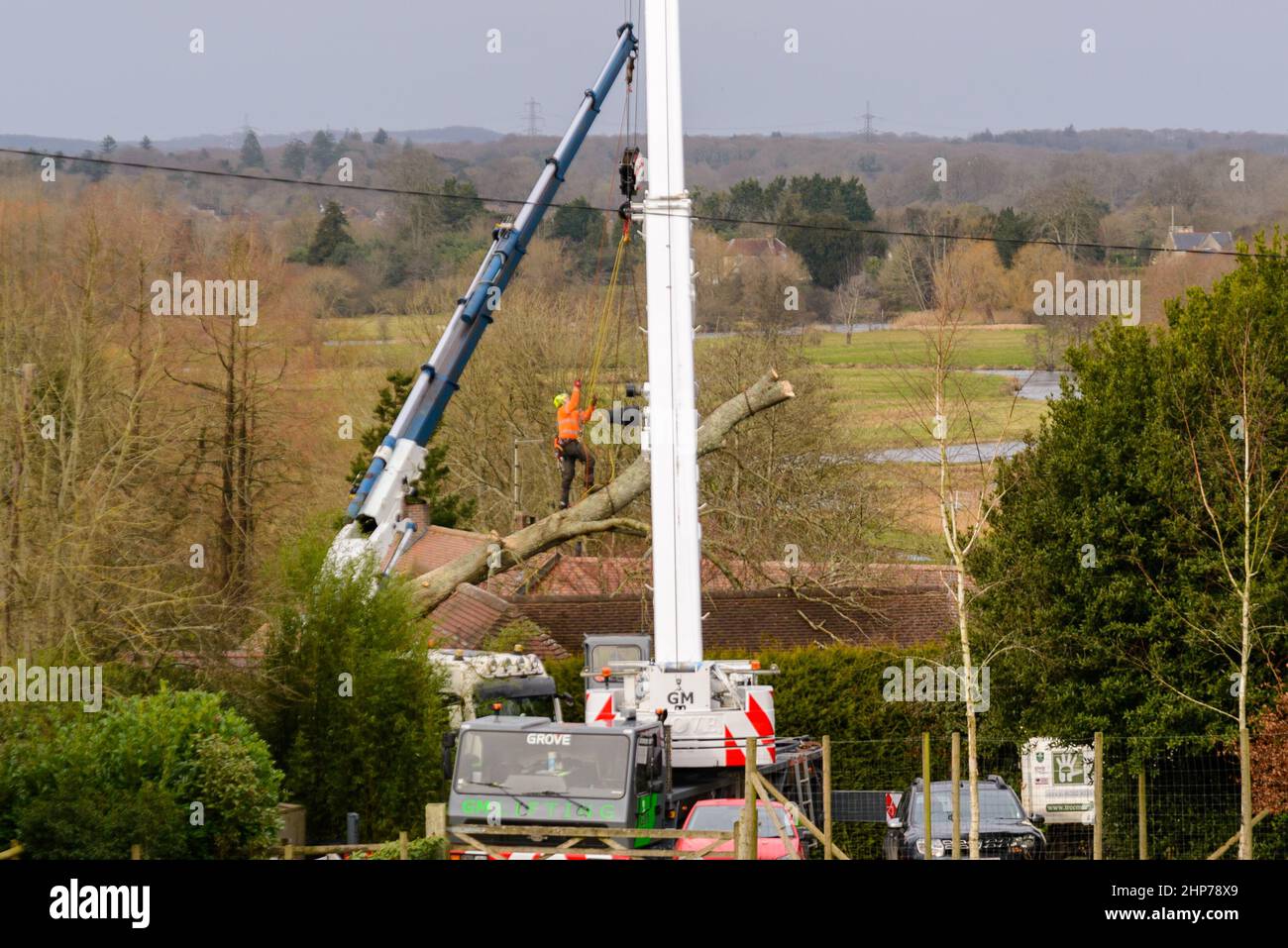 New Forest, Hampshire, Royaume-Uni, 19th février 2022, Météo : les ingénieurs travaillent pour récupérer un arbre tombé incrusté dans le toit d'une propriété près de Fordingbridge. Une opération de compensation est en cours en Angleterre et au pays de Galles à la suite de la tempête Eunice qui a causé des dégâts considérables avec 80mph vents hier. Crédit : Paul Biggins/Alamy Live News Banque D'Images