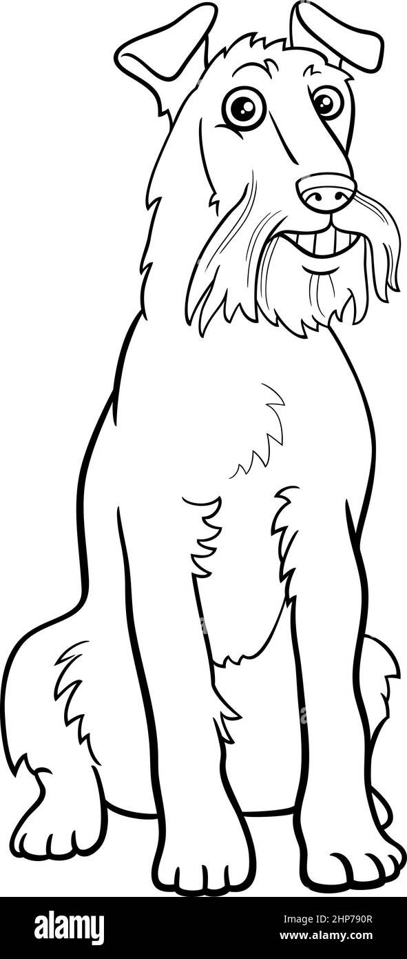 Bande dessinée Irish Terrier page de livre de coloriage de chien Illustration de Vecteur