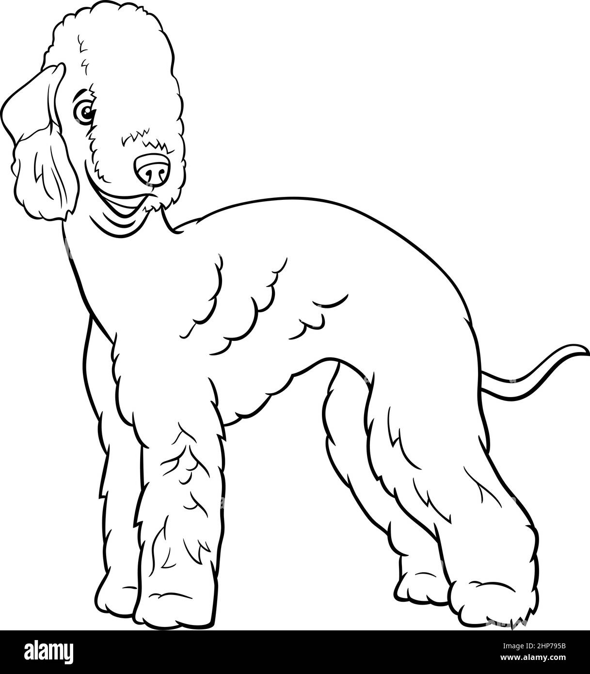 Page de livre de coloriage pour chiens de race pure de Bedlington Terrier Illustration de Vecteur